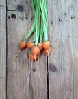 Bunch of small carrots with green tops on a wooden surface