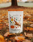 pumpkin spice fall dog treats