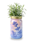 Hydroponic grow kit with lavender plant in a decorative jar on a white background