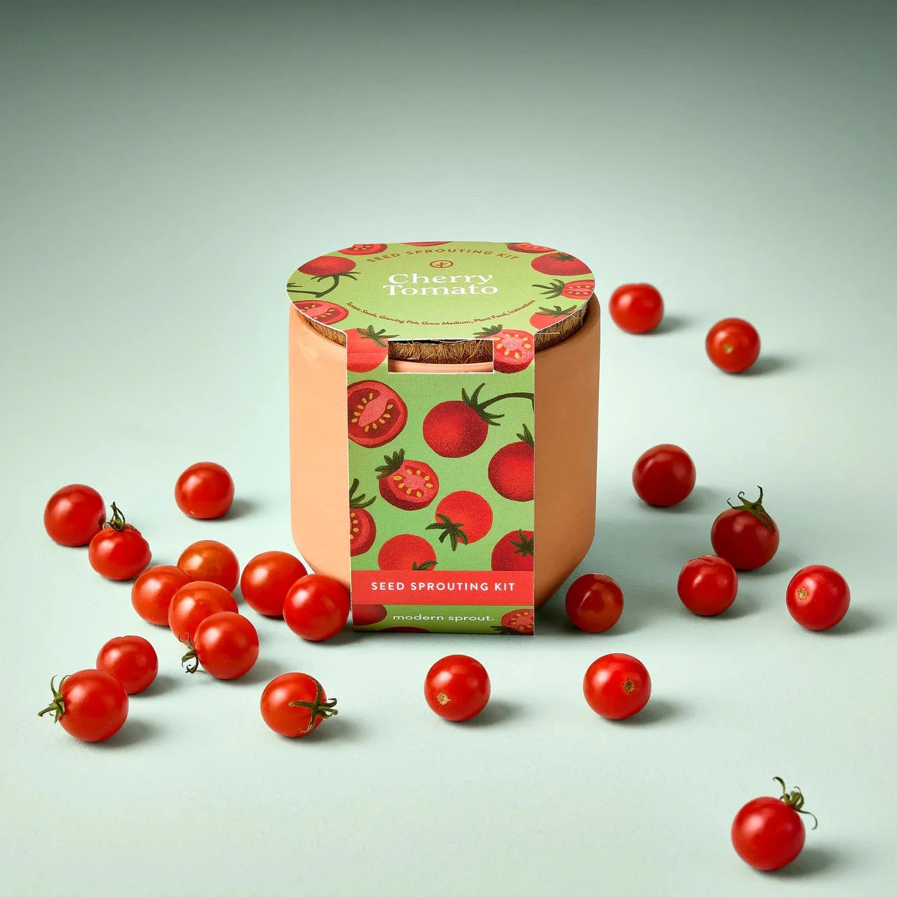 cherry tomato terracotta kit with tomatoes around it