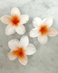 Three white flowers with orange centers on a marble surface