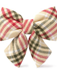 front of beige red and green dog bow