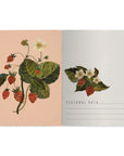 Notebook with botanical illustrations on a white background