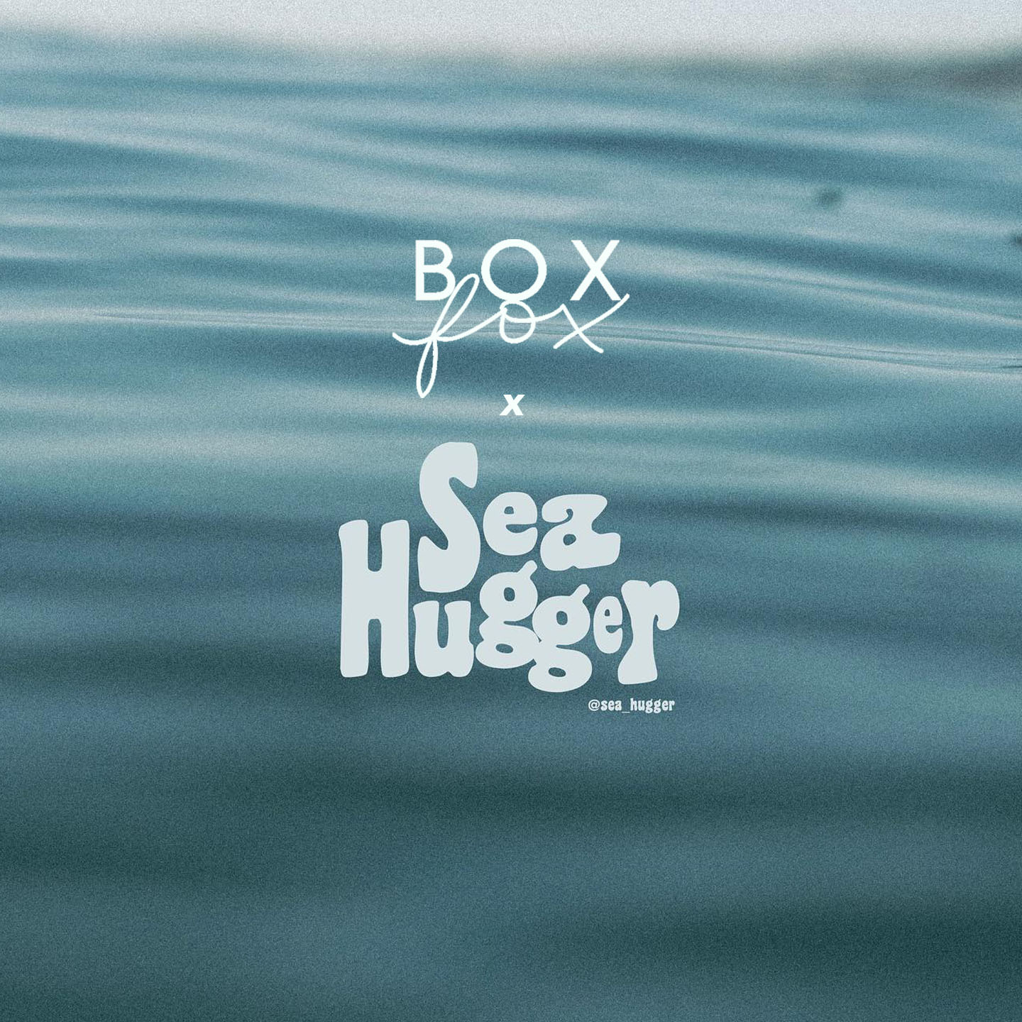 BOXFOX x Sea Hugger