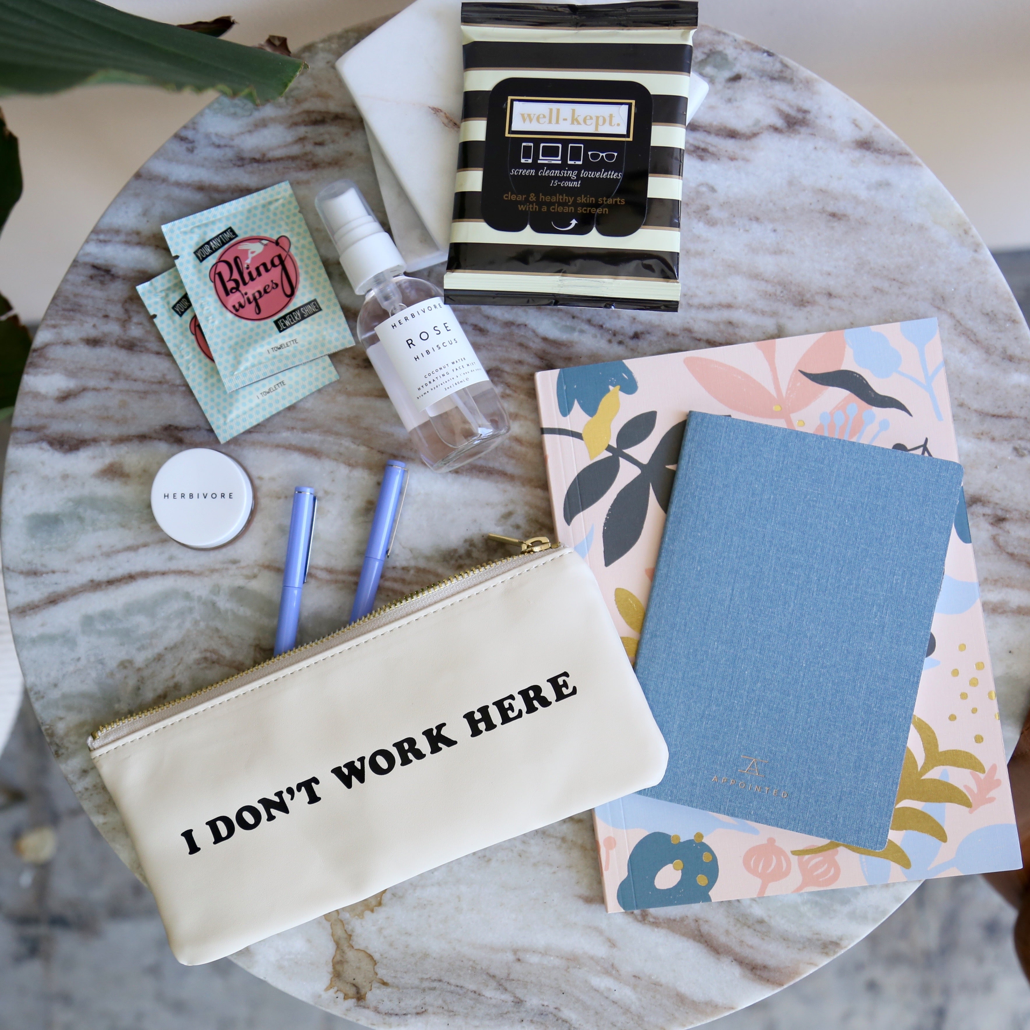 In Her Bag // BOXFOX CEO Chelsea Moore