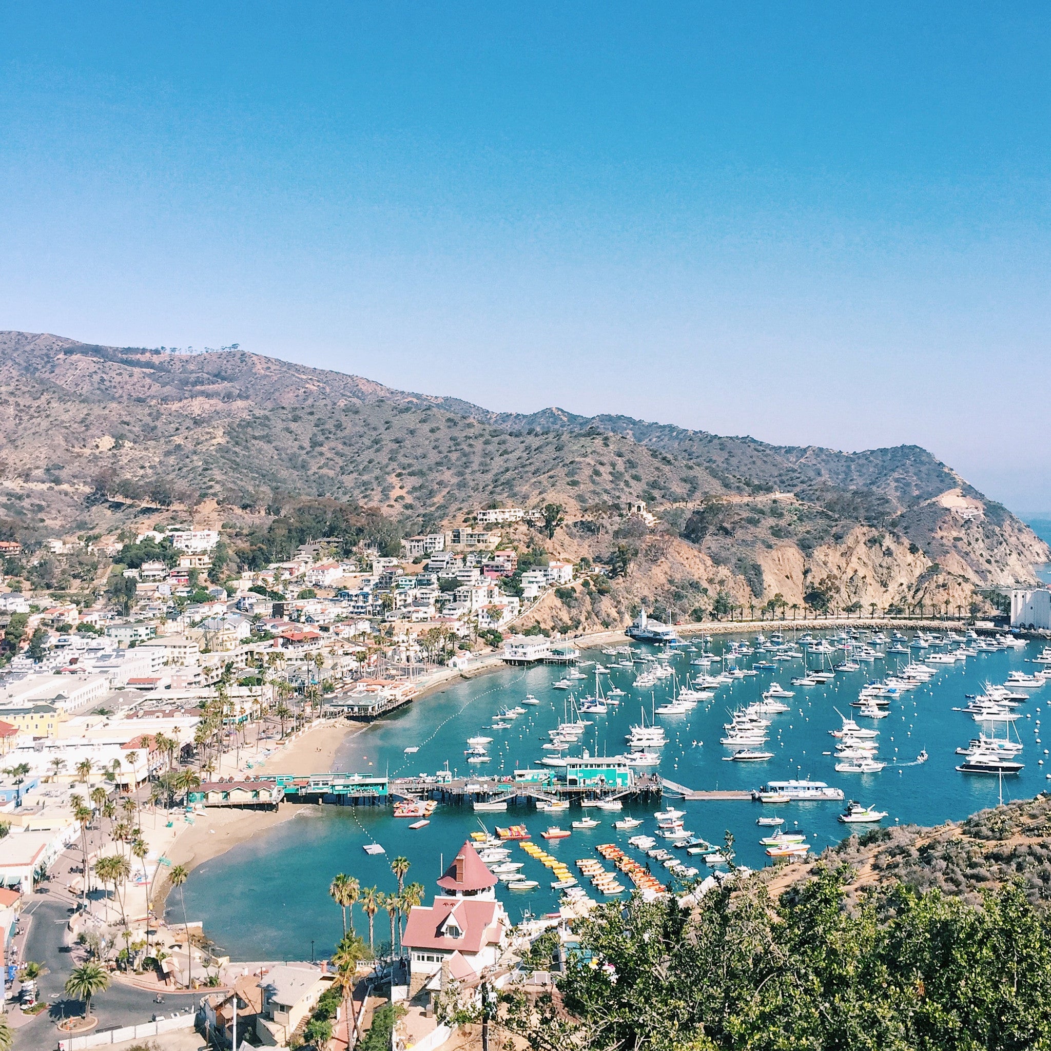 Catalina Island Travel Guide