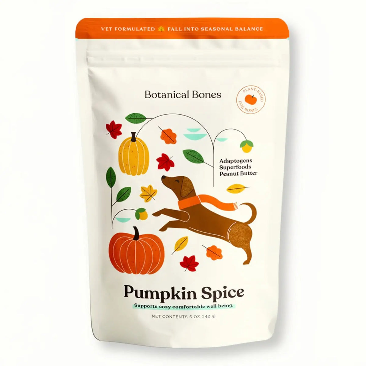 pumpkin spice fall dog treats