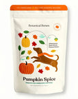 pumpkin spice fall dog treats