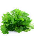 Bunch of fresh green parsley on a white background