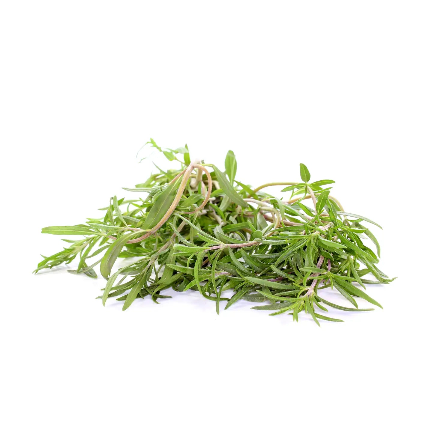 Bunch of fresh green herbs on a white background
