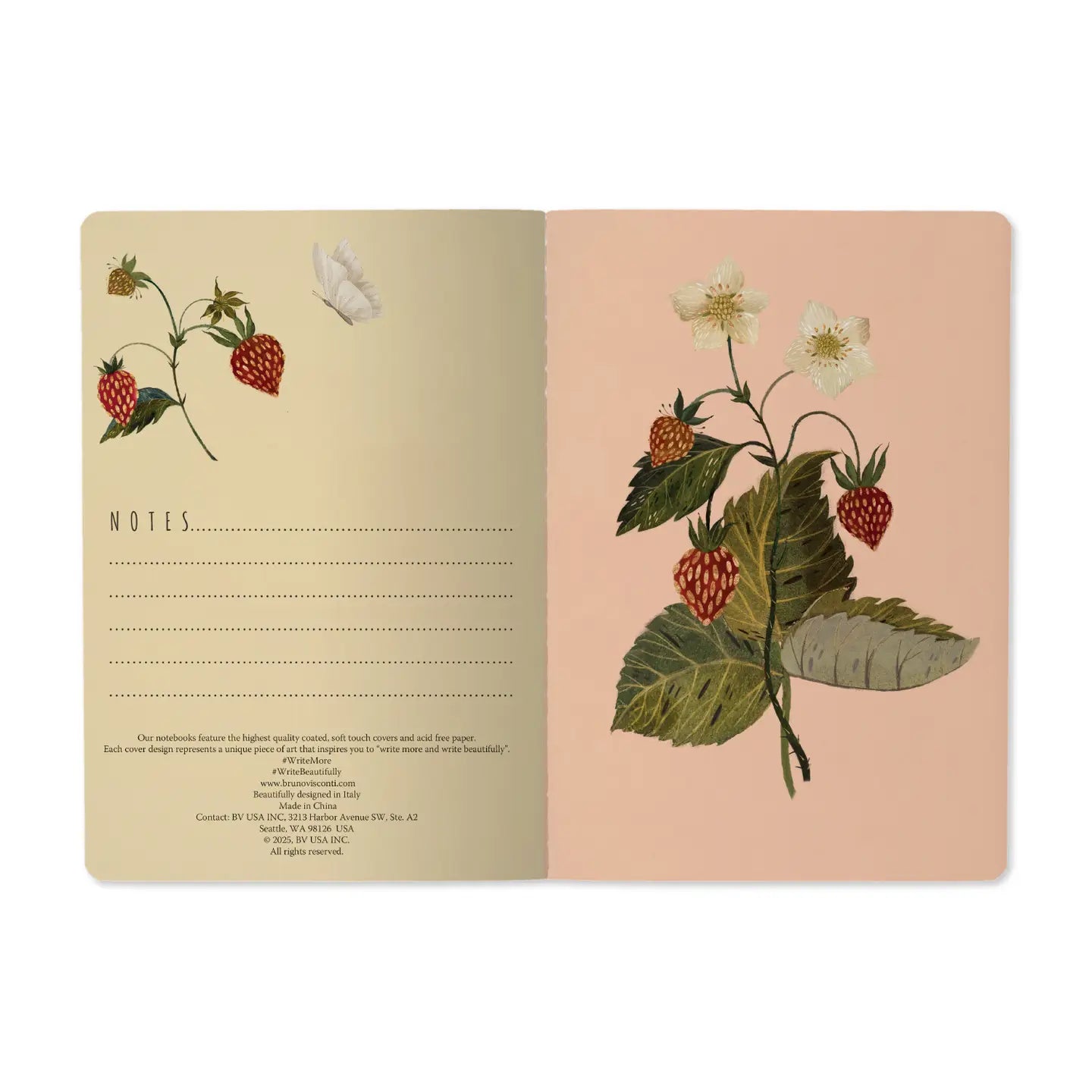 Open notebook with botanical illustrations on a white background