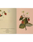 Open notebook with botanical illustrations on a white background