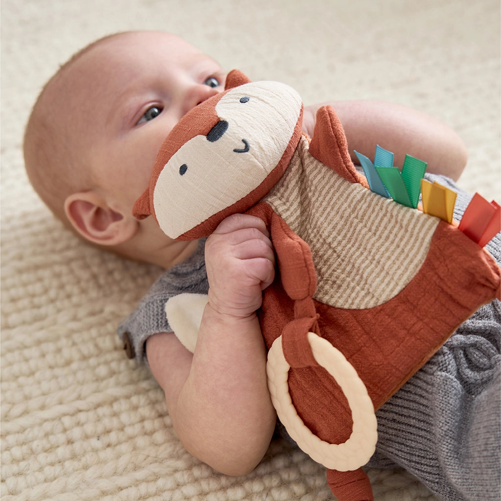Baby holding a soft toy with a neutral background