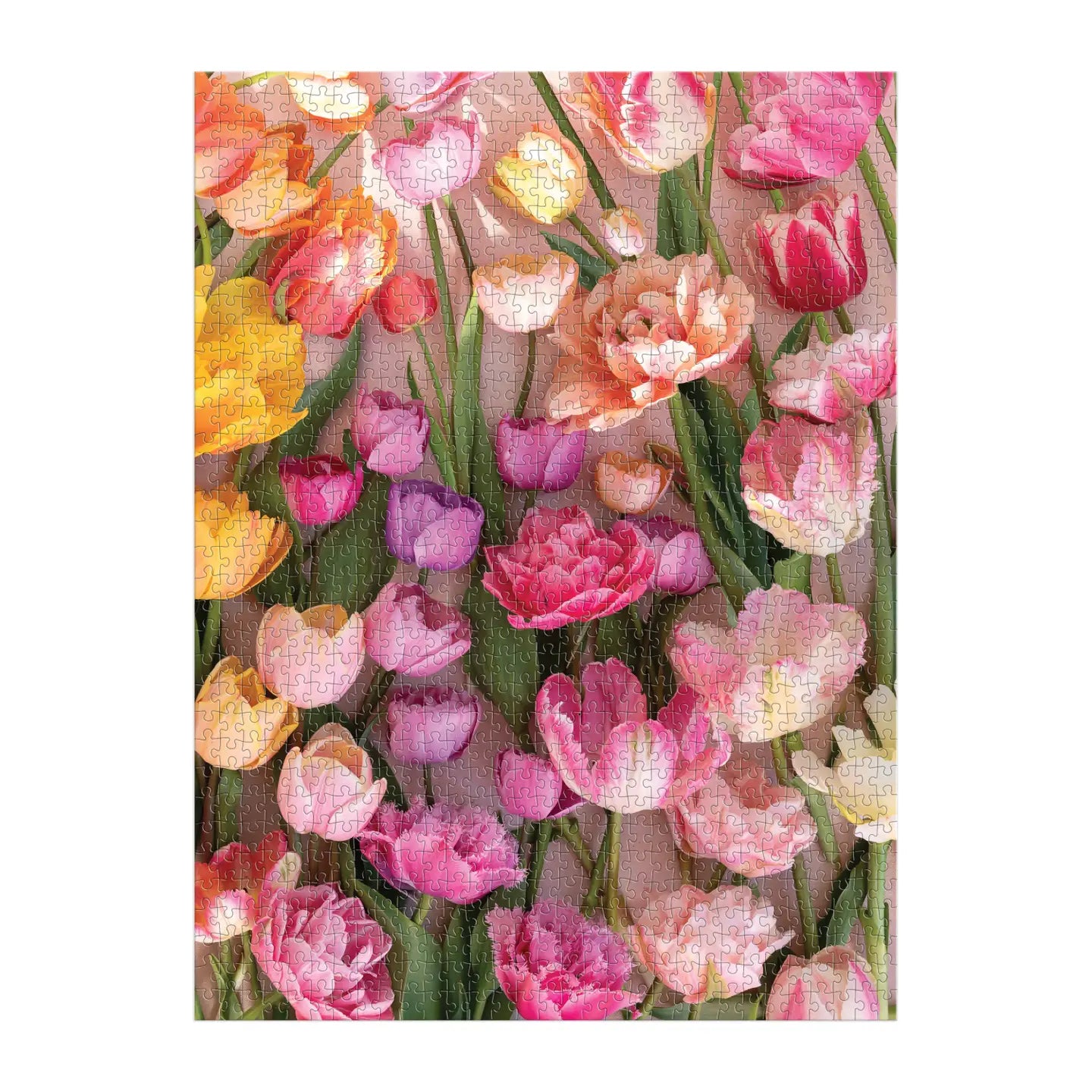 Colorful tulip pattern on a white background