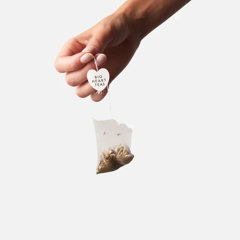 Hand holding a clear tea bag with visible herbs against a white background