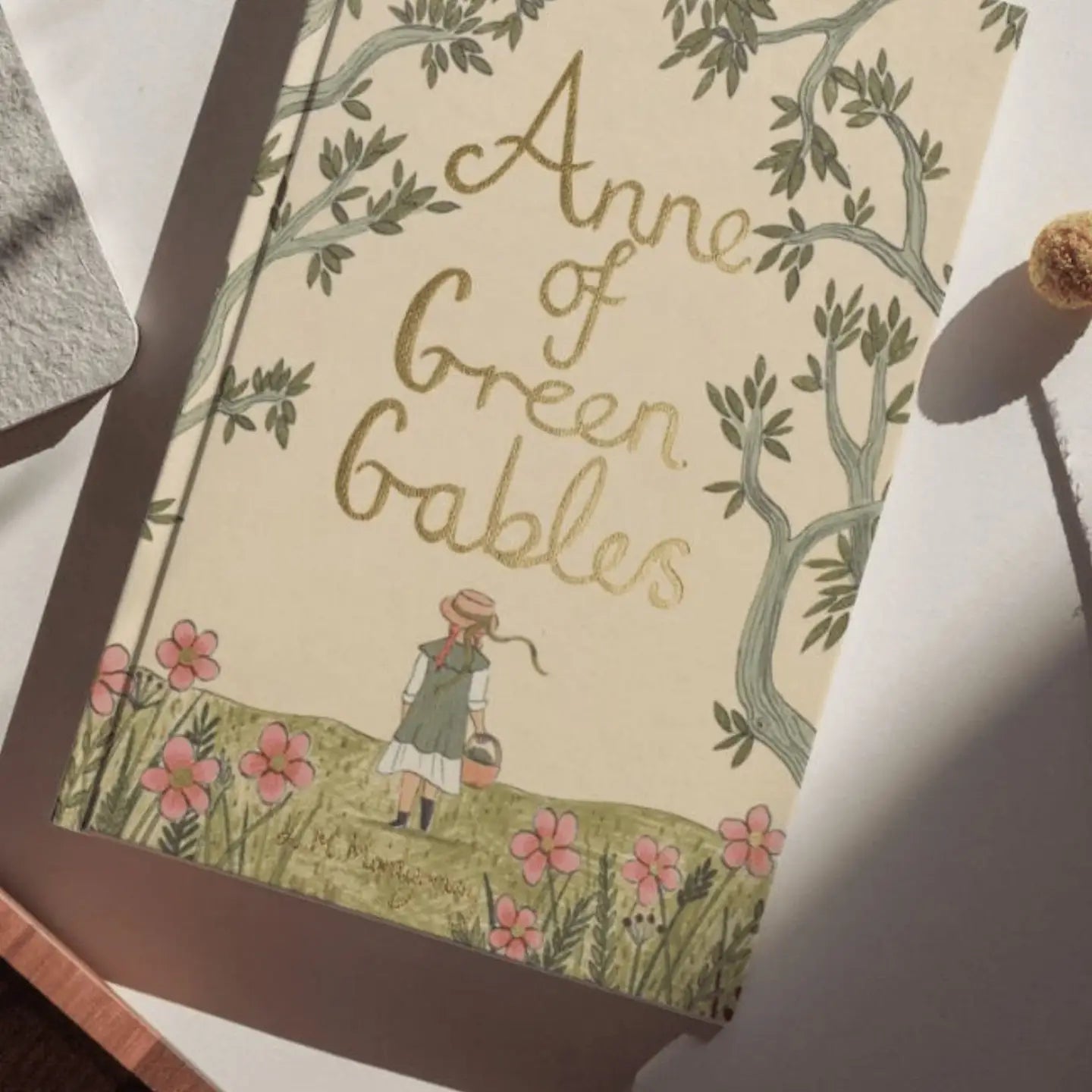 Book cover of 'Anne of Green Gables' with a illustration of a girl in a field.