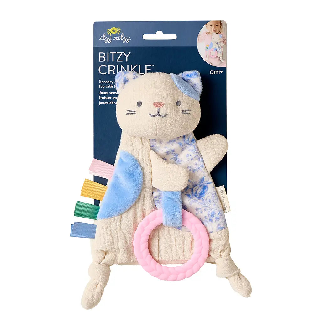 Plush toy with crinkle elements and pink ring, branded 'Itzy Ritzy', on a white background.