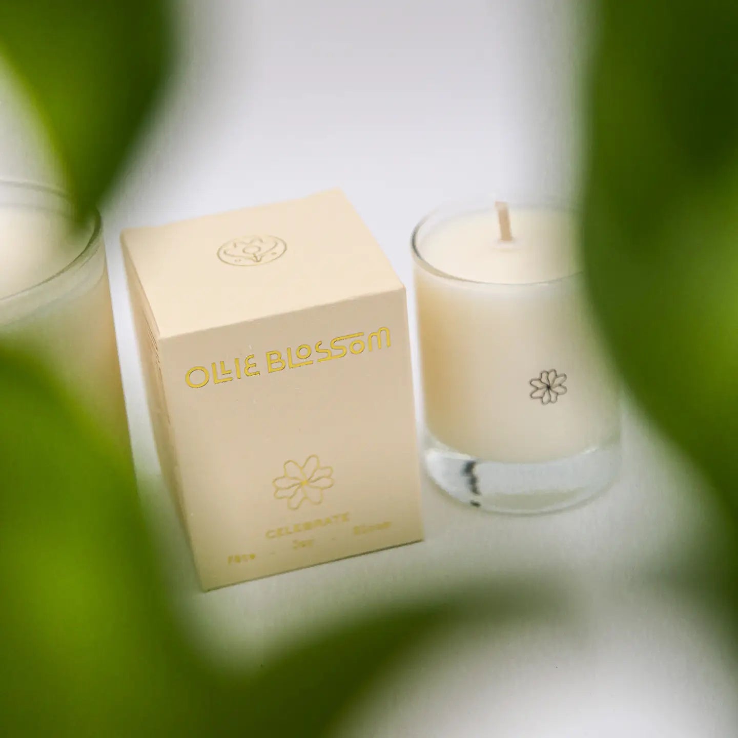 A cream-colored candle in a clear glass jar next to its matching beige box, both featuring gold foil flower designs and the brand name 'OLIF BLOSSOM'. The scene is framed by soft, out-of-focus green leaves in the foreground.