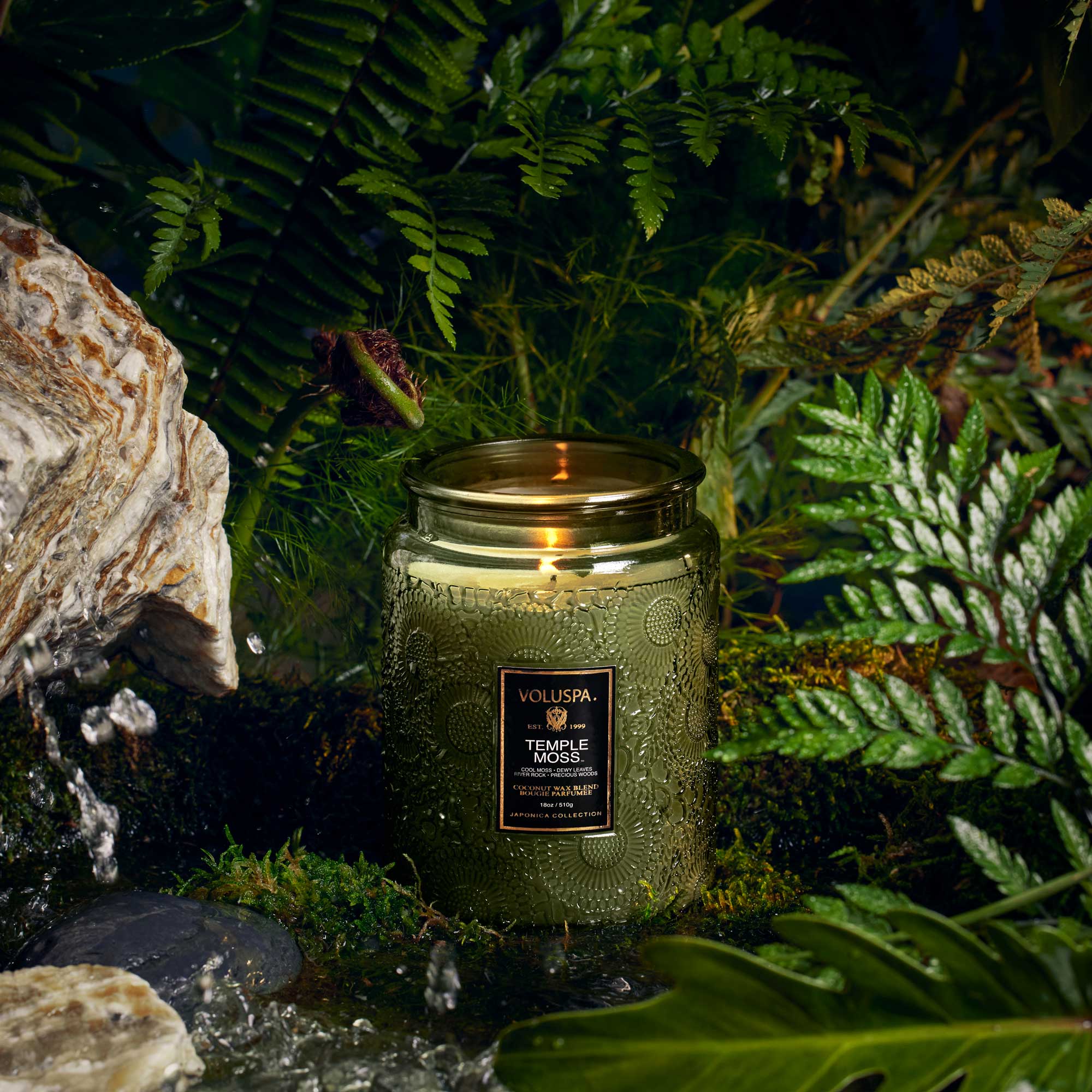 Green candle in a jar with a label, surrounded by ferns and rocks