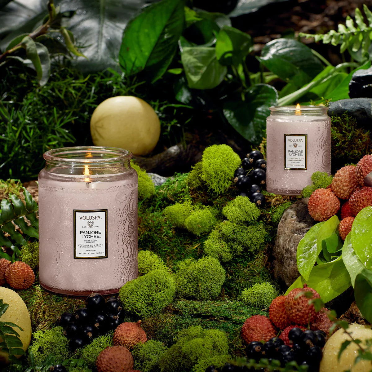 PANJORE LYCHEE LARGE JAR CANDLE in nature backdrop