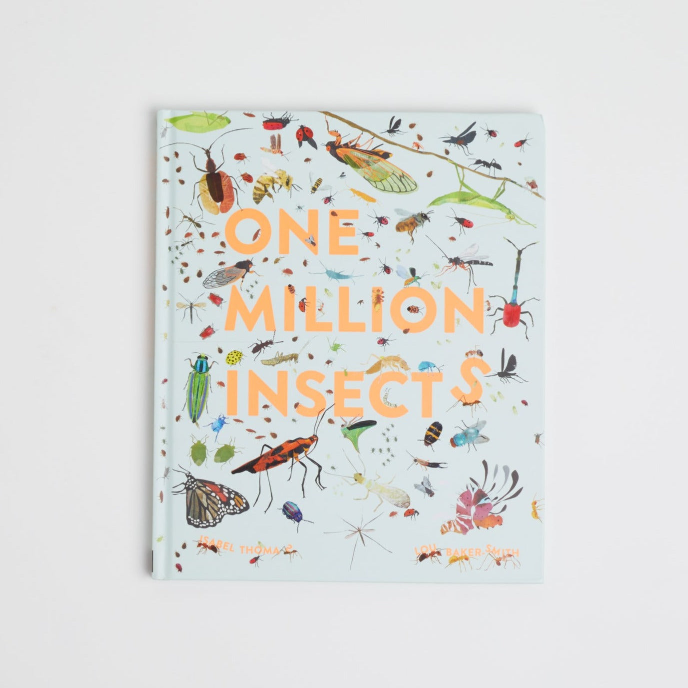 Cover of "One Million Insects" which shows a light blue background covered in many types of insects. The title is written across in orange.