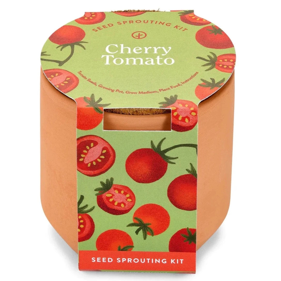 Tiny Terracotta Garden Kits for cherry tomatoes 