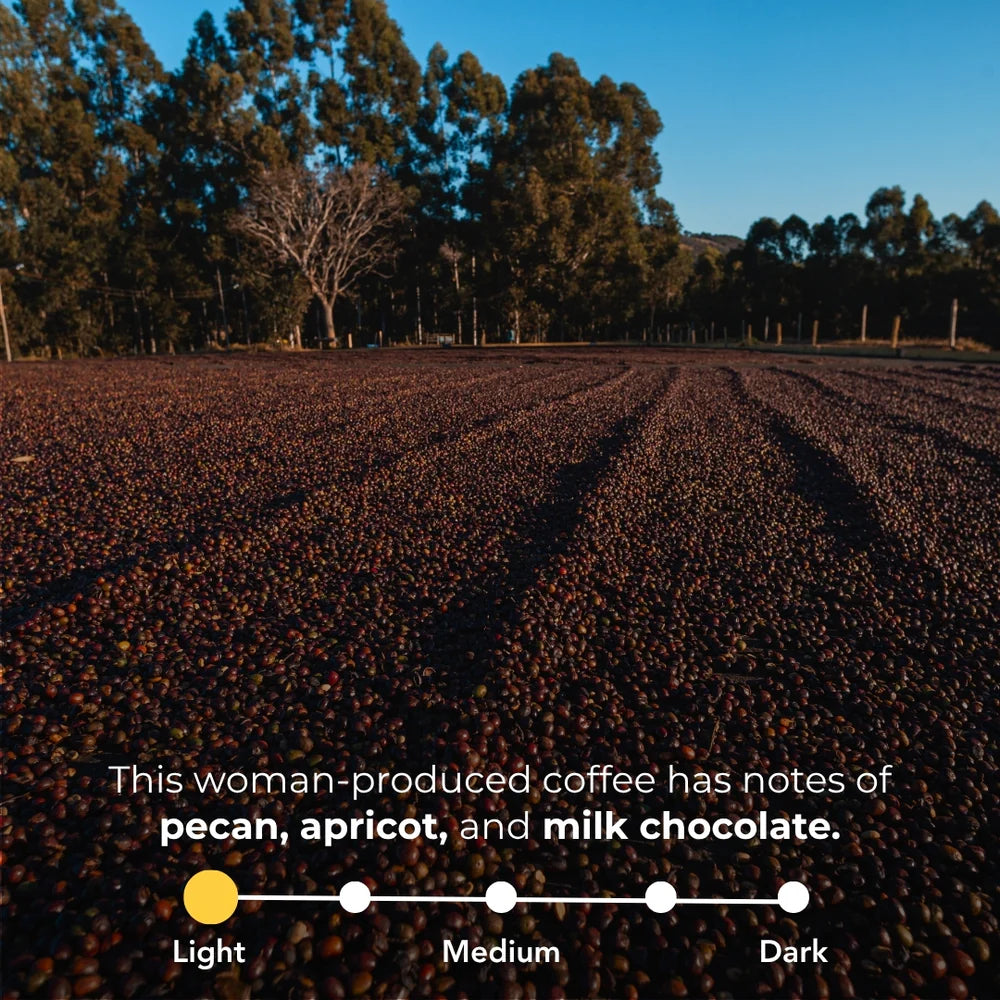 Coffee beans in a field with text about coffee flavor profile.