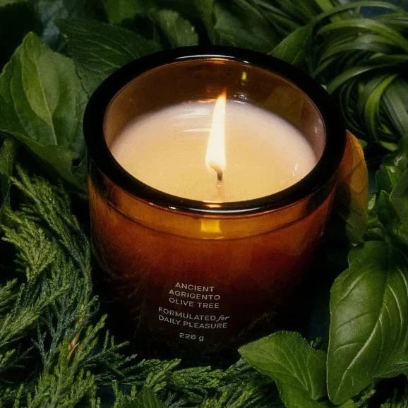 ANCIENT AGRIGENTO OLIVE TREE CANDLE in greenery