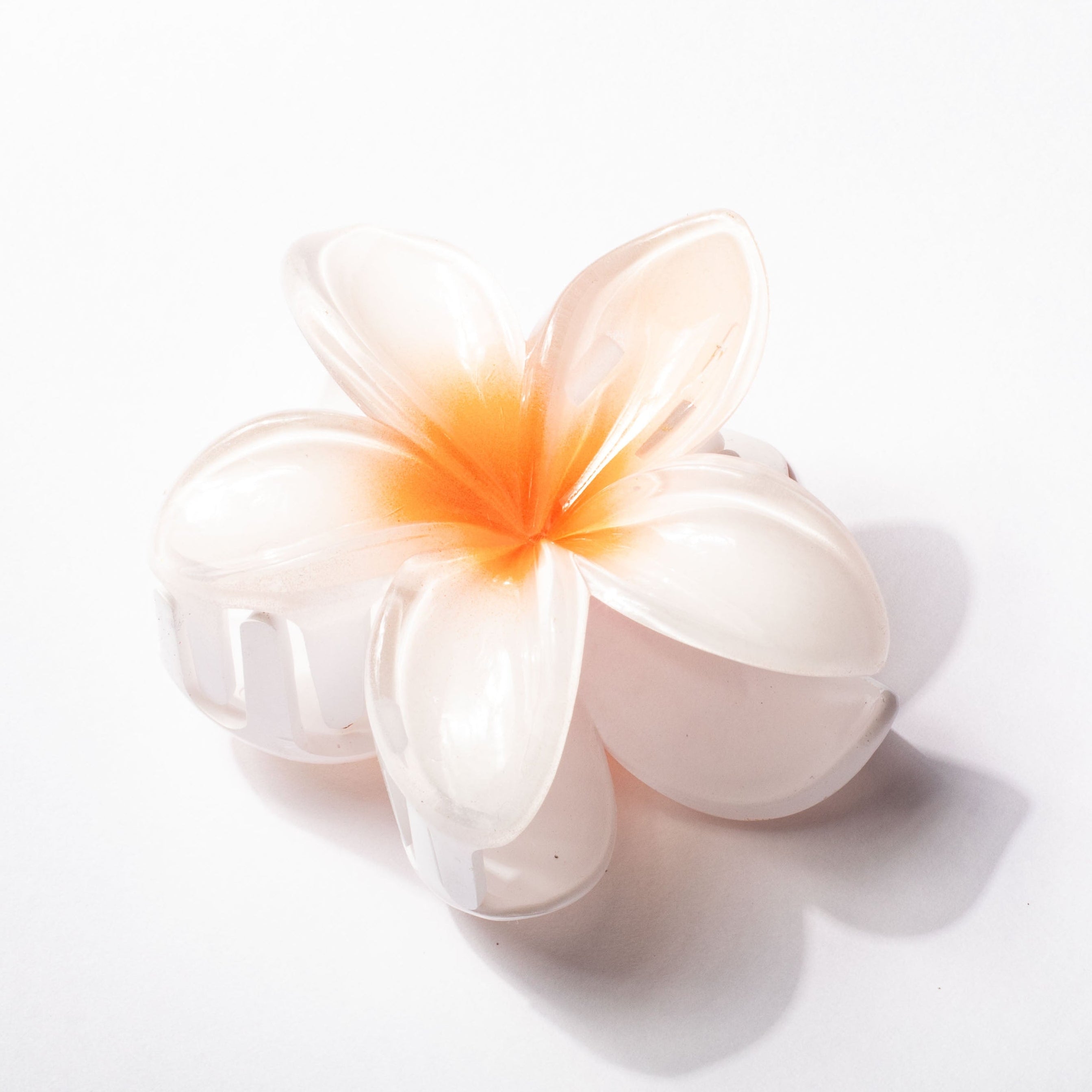 White flower with a bright orange center on a white background