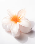 White flower with a bright orange center on a white background