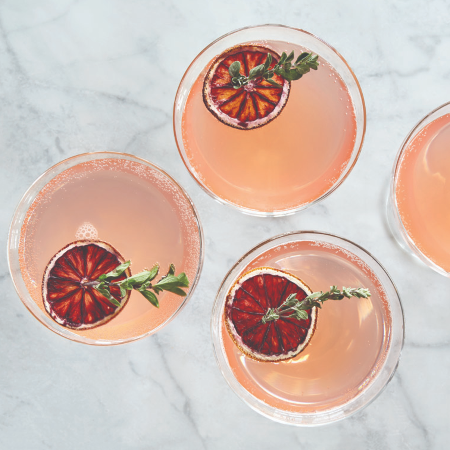 Cocktail featuring Crispy Blood Orange Slices