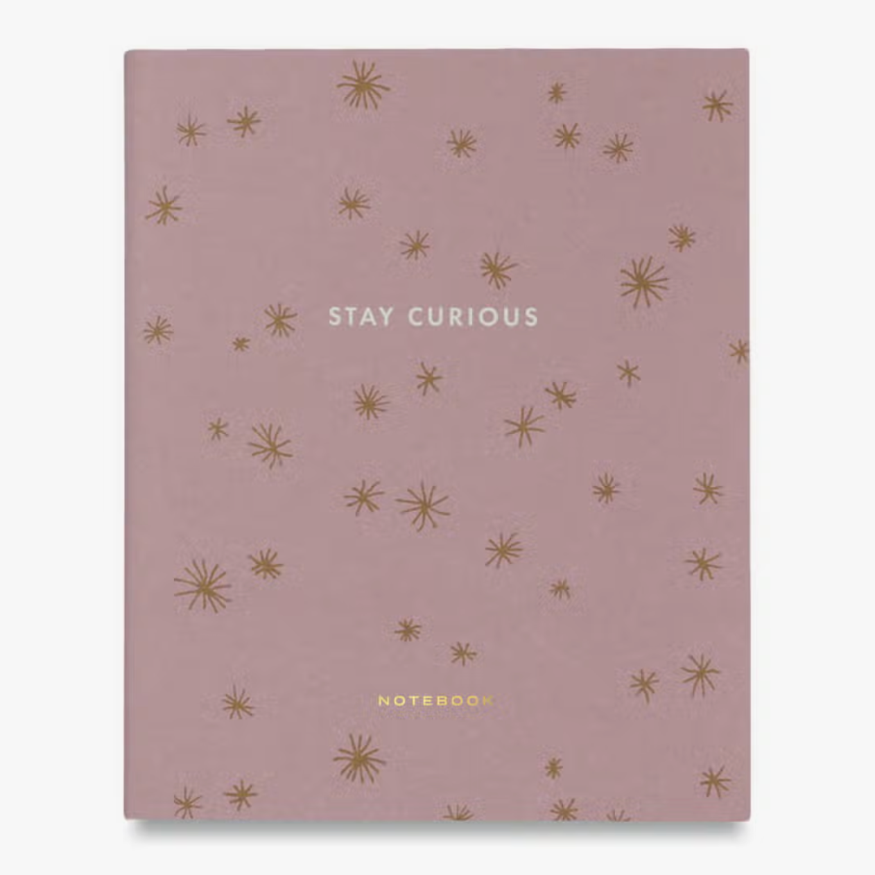Pink notebook with star doodles that says Stay Curious on it