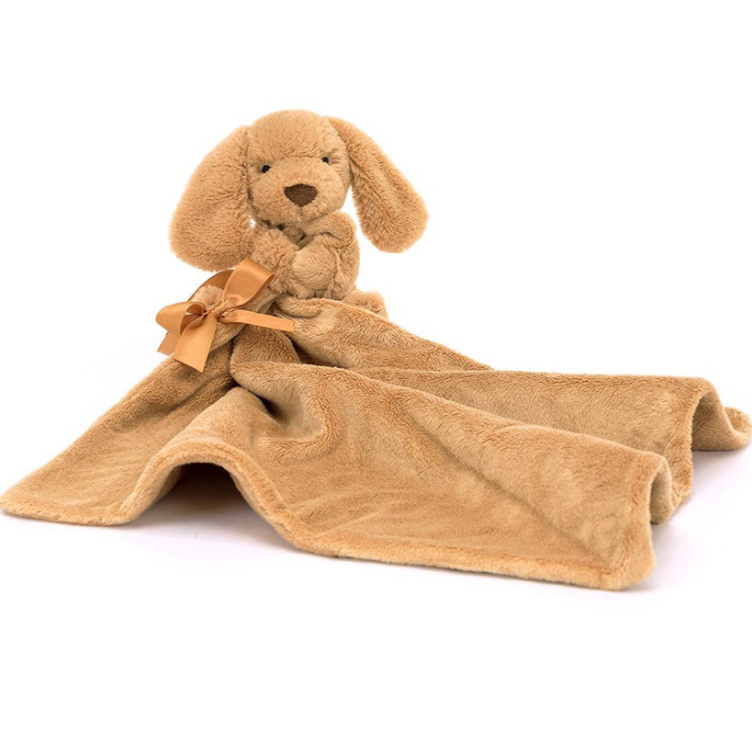 Brown puppy with an attached blanket on a white background