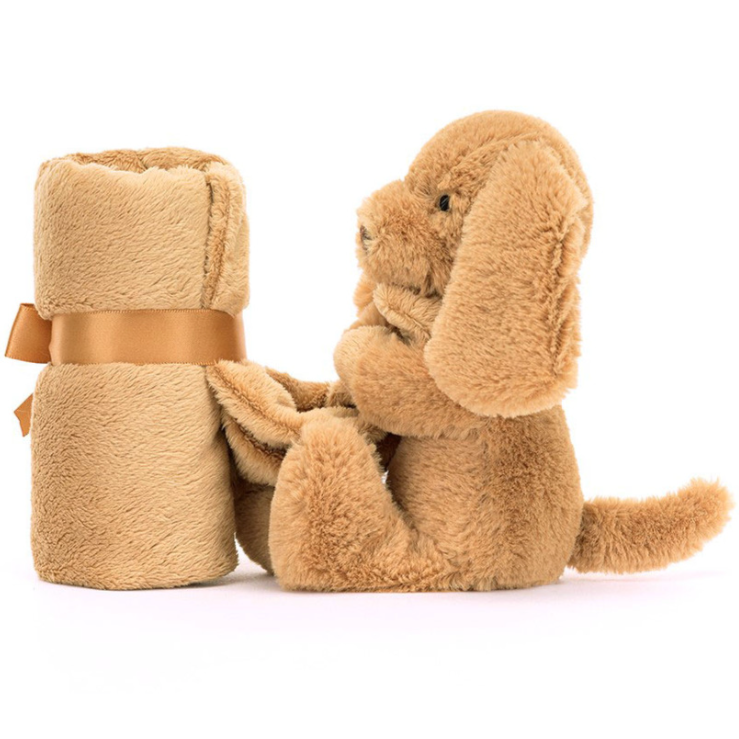 Brown puppy with the attached blanket rolled up on a white background