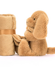 Brown puppy with the attached blanket rolled up on a white background