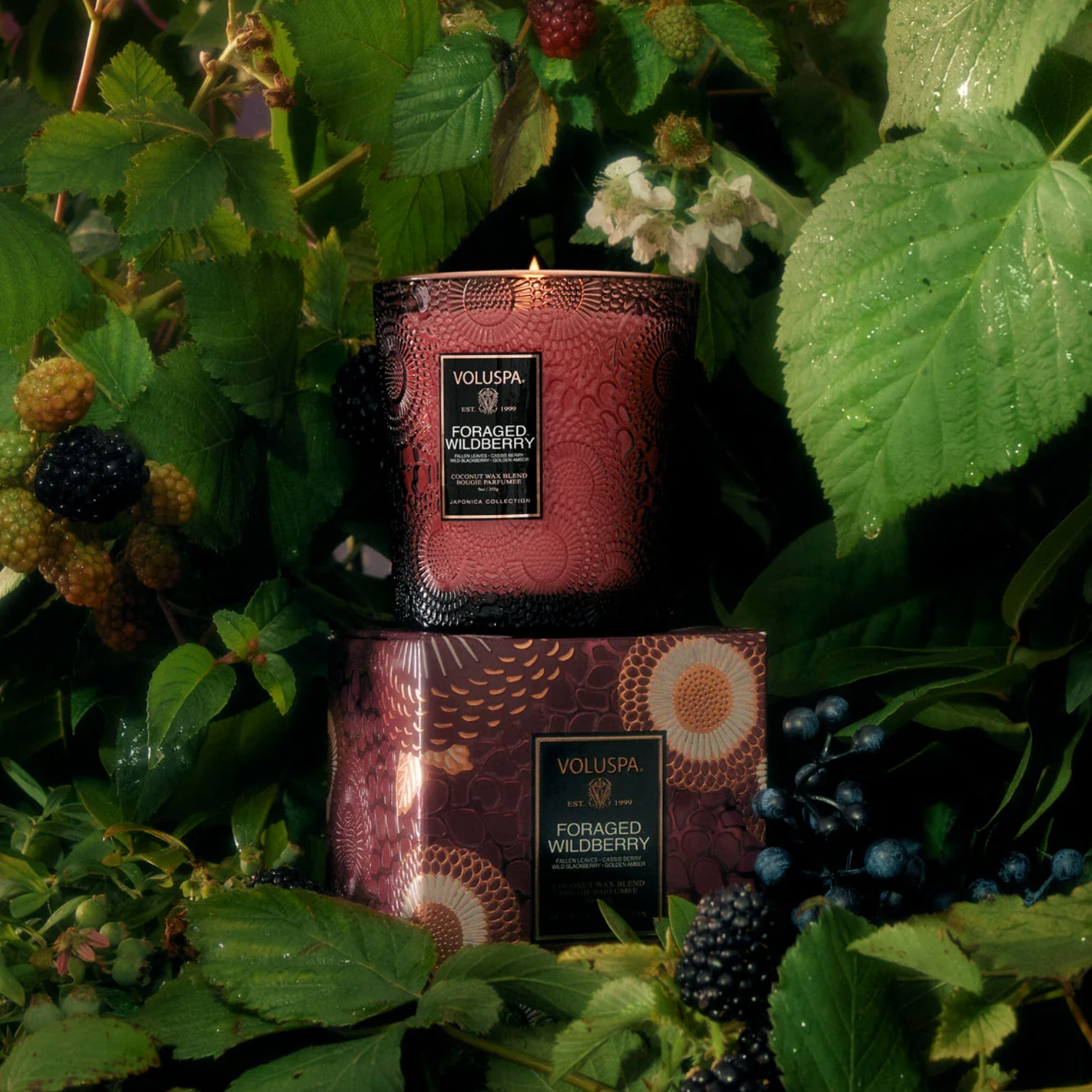 Two Voluspa candles in 'Foraged Wildberry' packaging surrounded by greenery and berries.