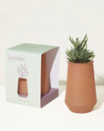 Terracotta pot with succulent plant and packaging labeled 'Lavender' on a white background