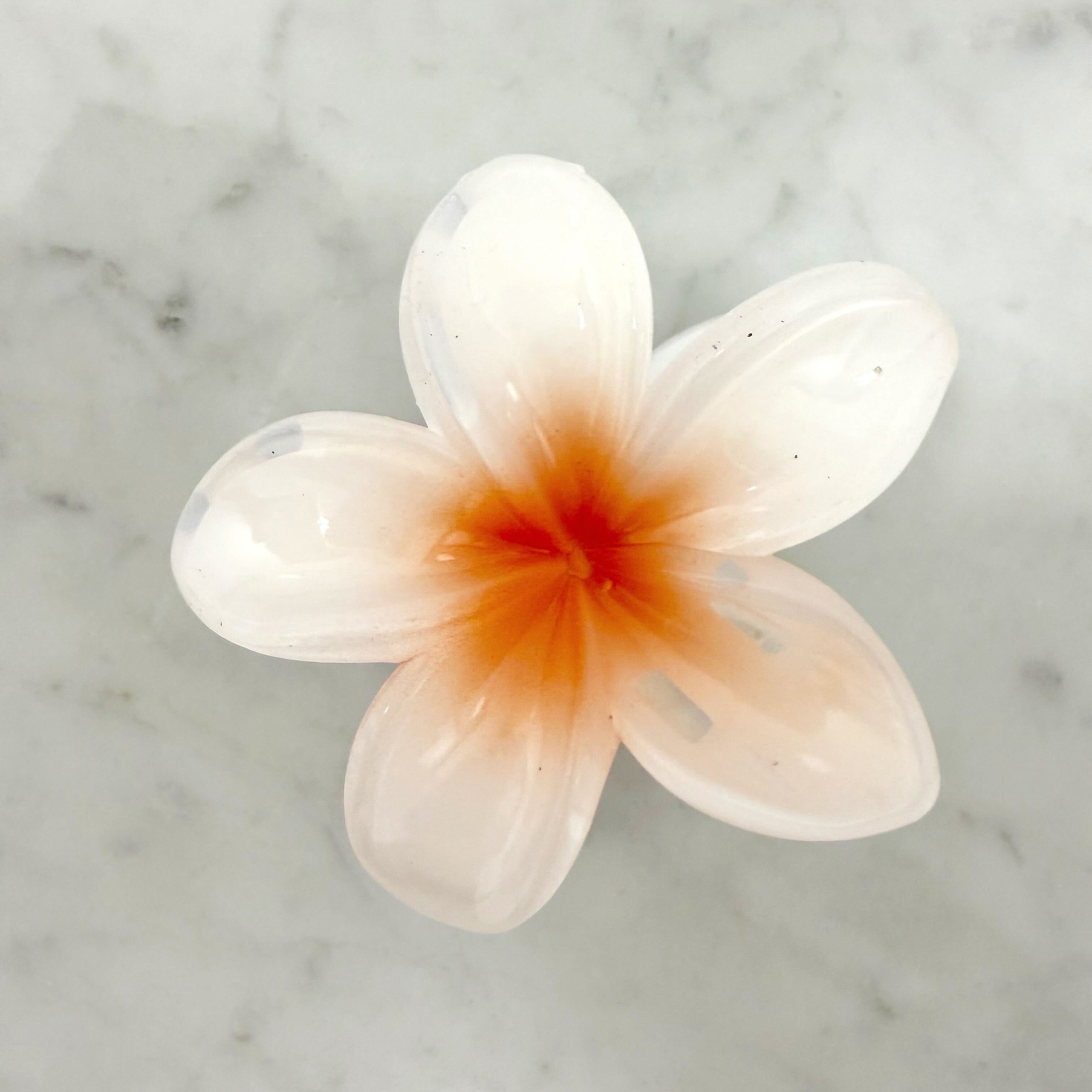 White flower with a red center on a marble background