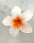 White flower with a red center on a marble background