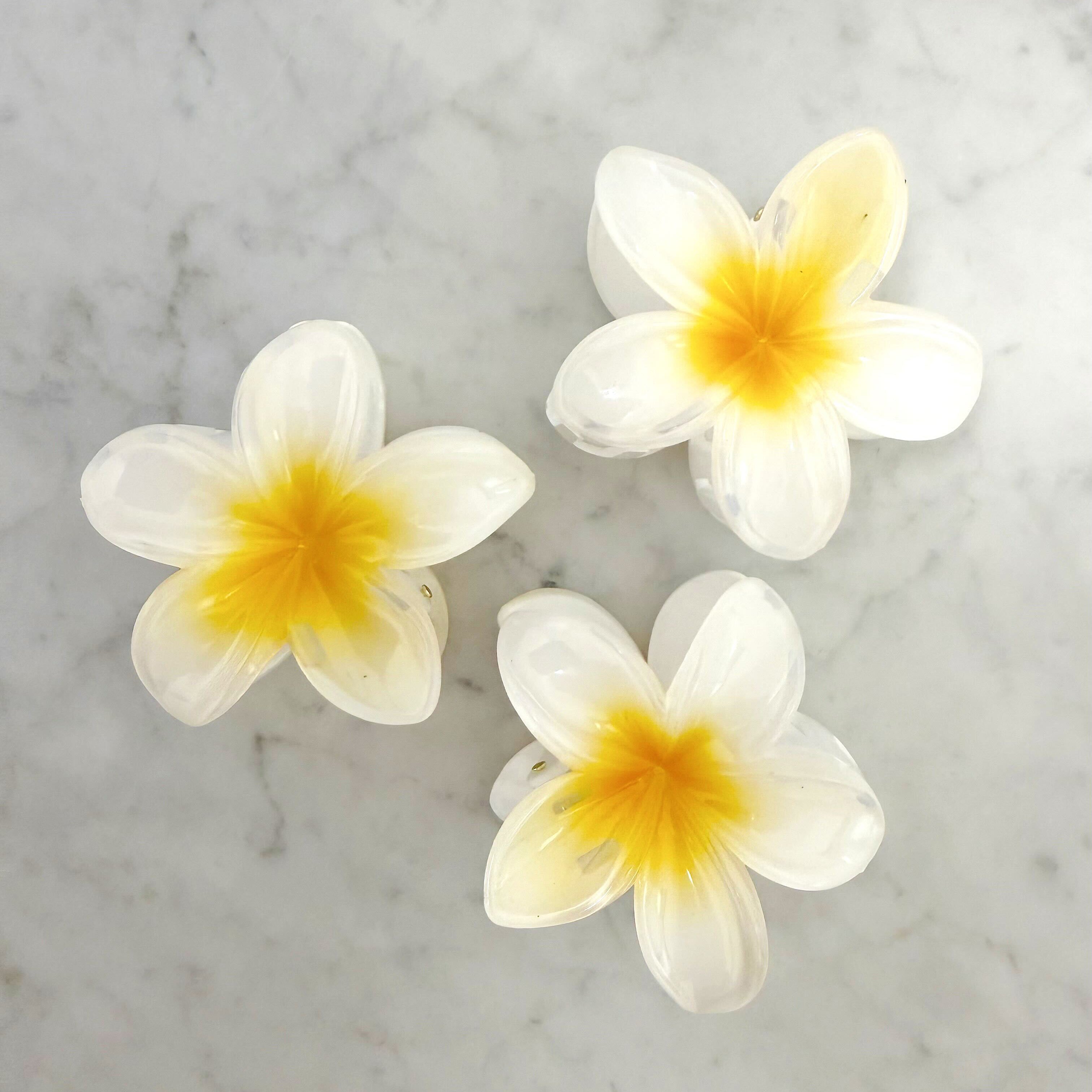 Three white flowers with yellow centers on a marble surface