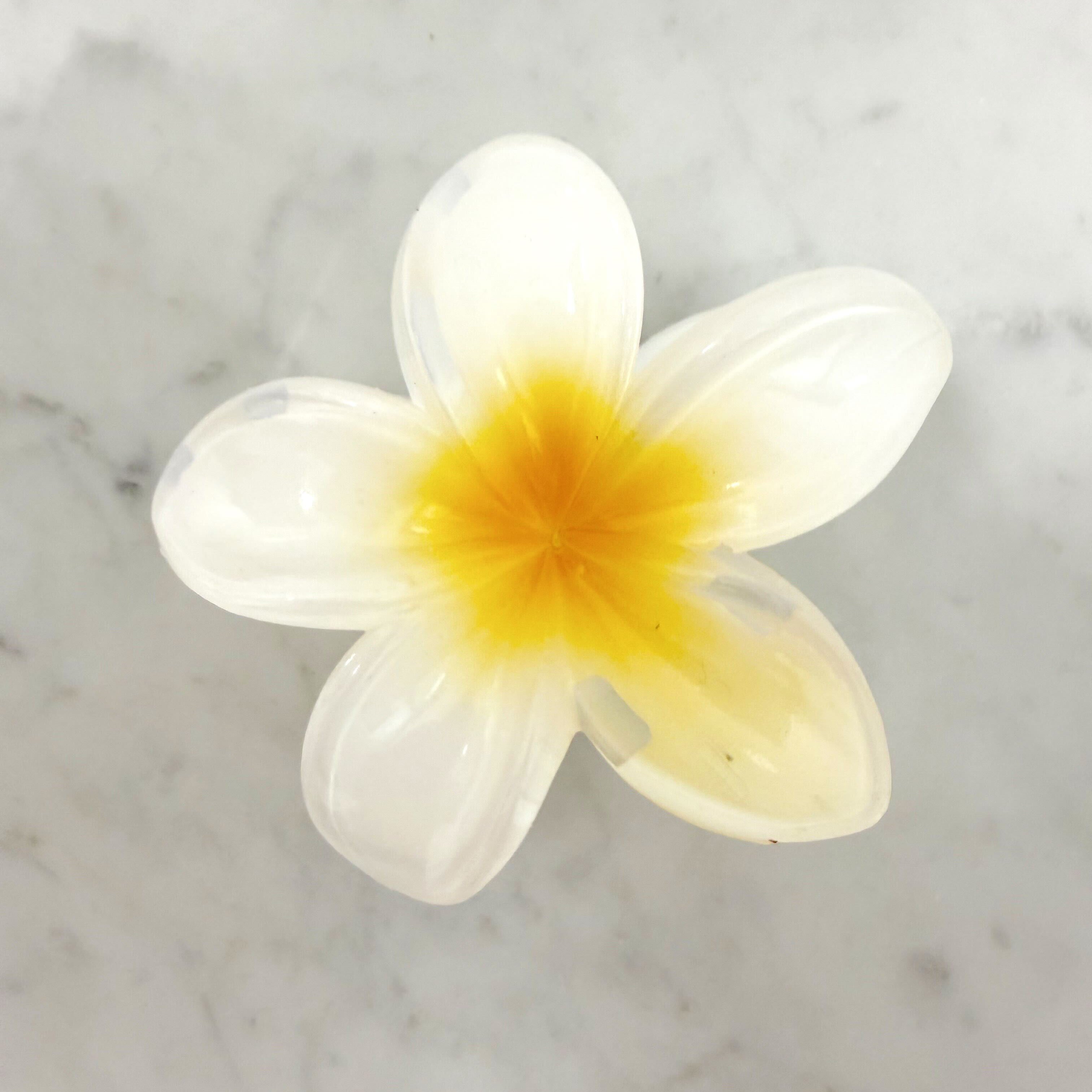 White flower with a yellow center on a marble background