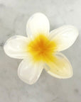 White flower with a yellow center on a marble background