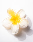 Flower-shaped object with yellow center and white petals on a light gray background