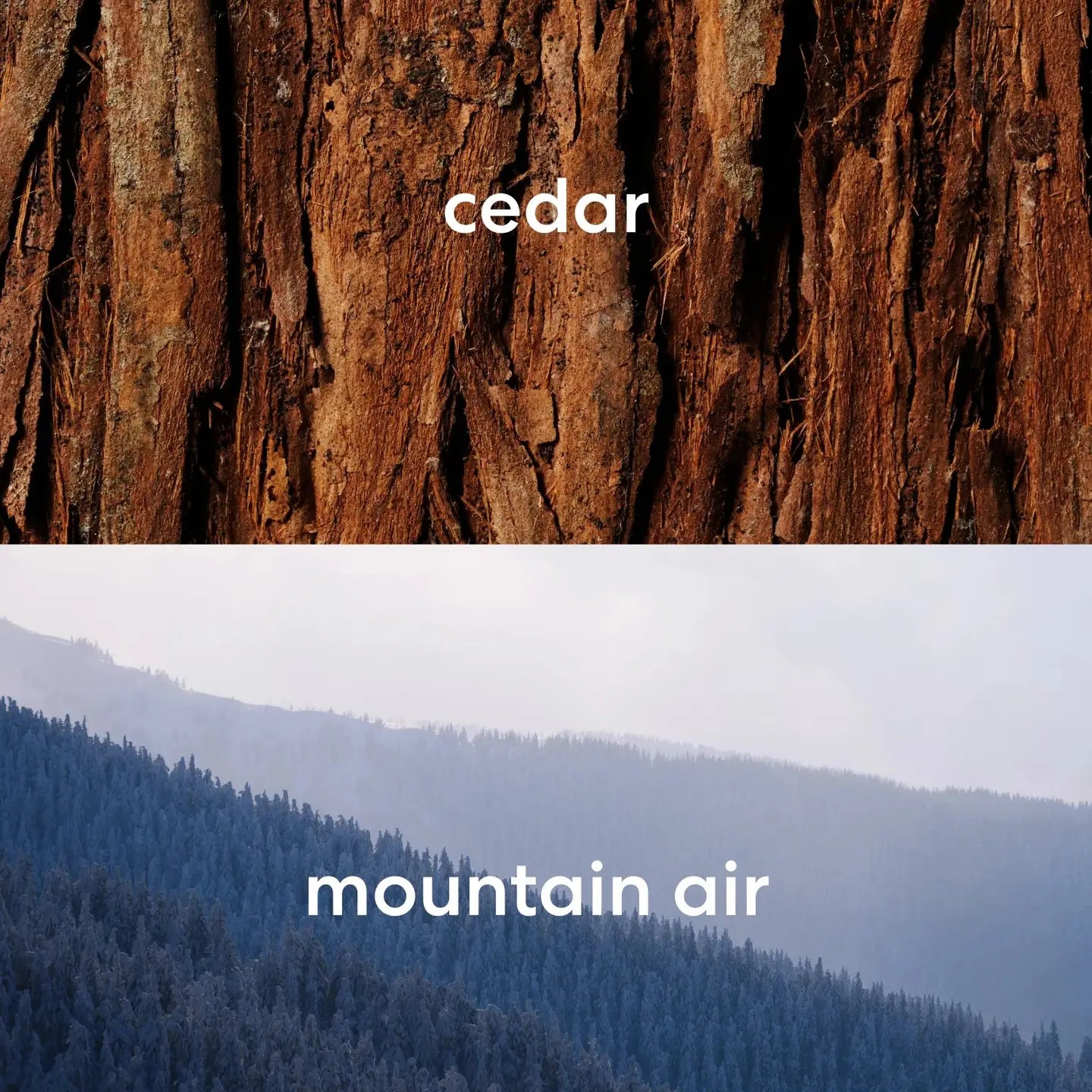 Close-up of a cedar tree trunk with 'cedar' text above and a mountain landscape with 'mountain air' text below.
