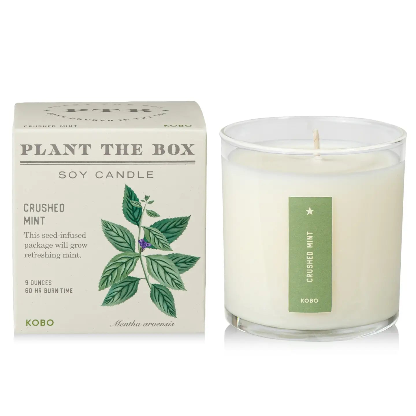 Soy candle with 'Plant the Box' packaging on a white background