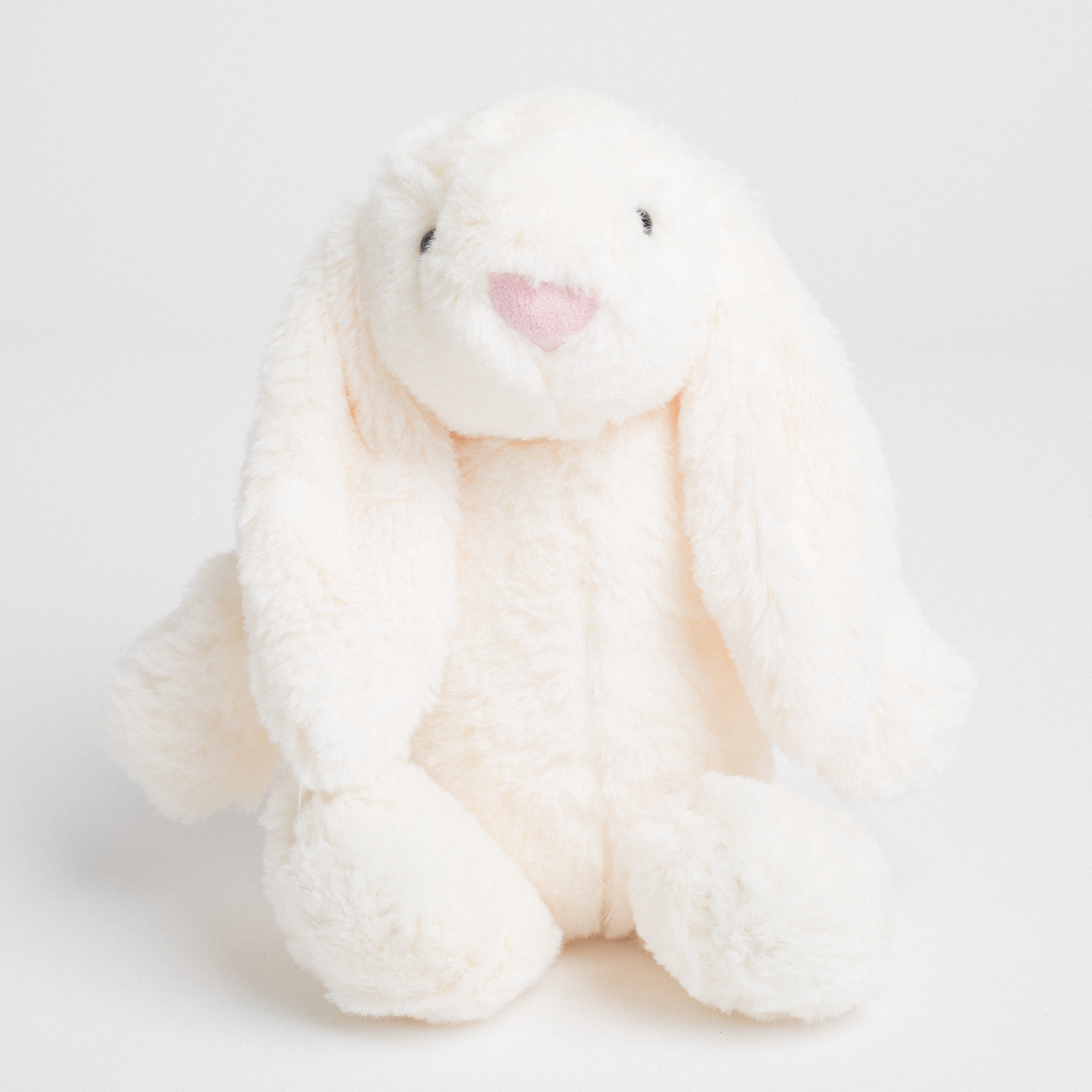 Small Bunny