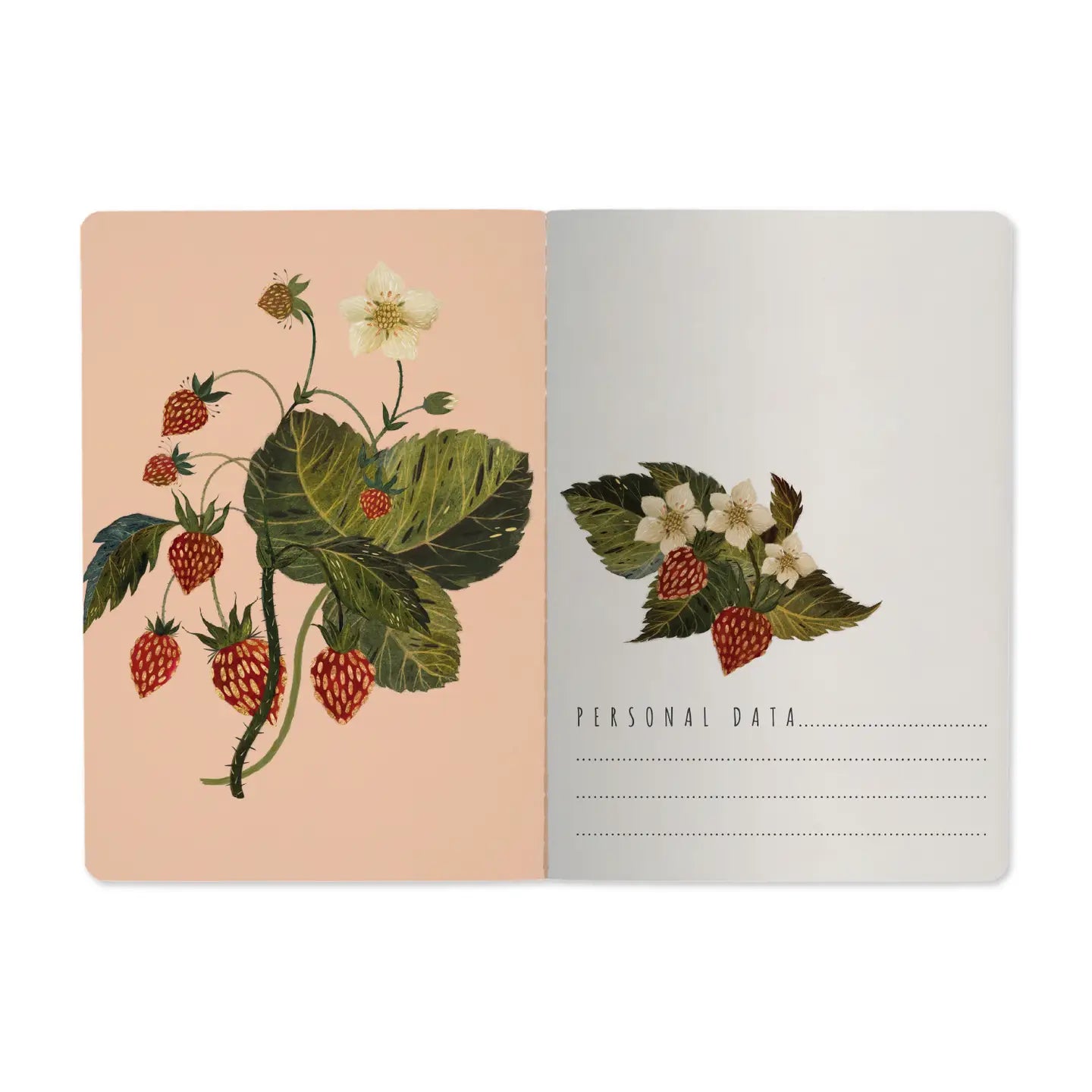 Notebook with botanical illustrations on a white background