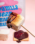 A close-up shot shows a perfectly toasted marshmallow from Mojave Mallows, coated with chocolate sauce, skewered on a stick. The package is visible in the background with other marshmallows and graham crackers, evoking a sense of indulgence and fun.