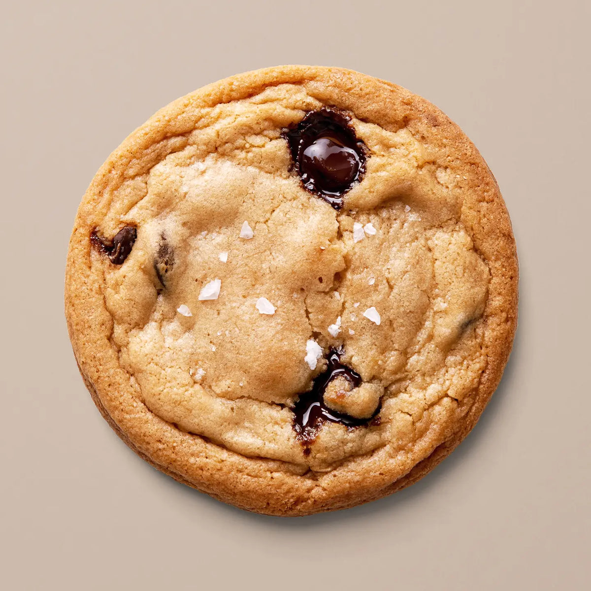 good afternoon chocolate chip cookie
