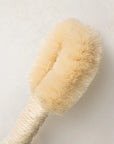 Natural bristle brush with a white background